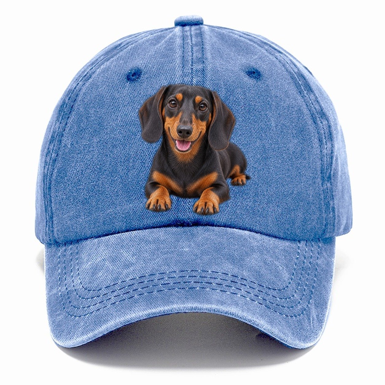 Dachshund Lying Down Top Breeds Classic Cap – Summer Sky