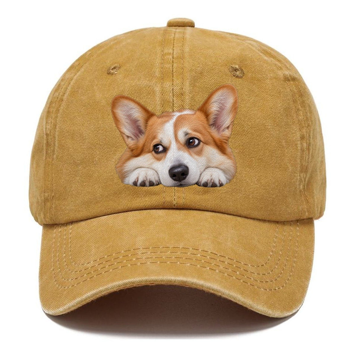 Corgi Resting Chin Character Club Classic Cap – Golden Harvest