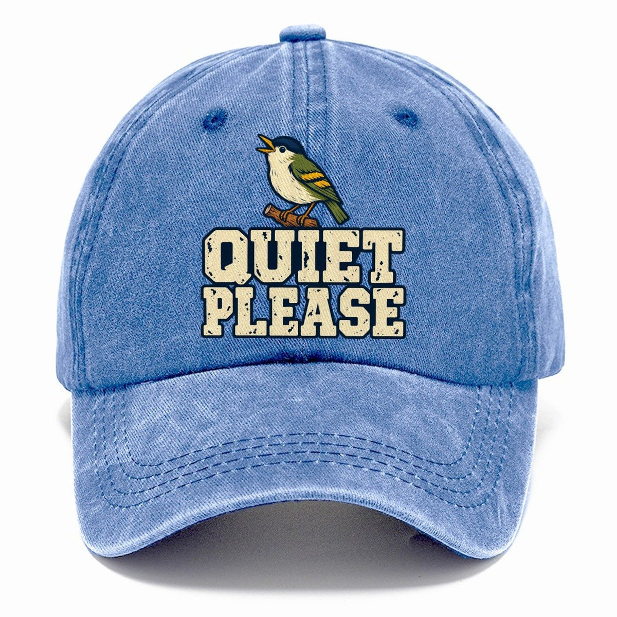 Quiet Please Birdwatching Classic Cap – Summer Sky