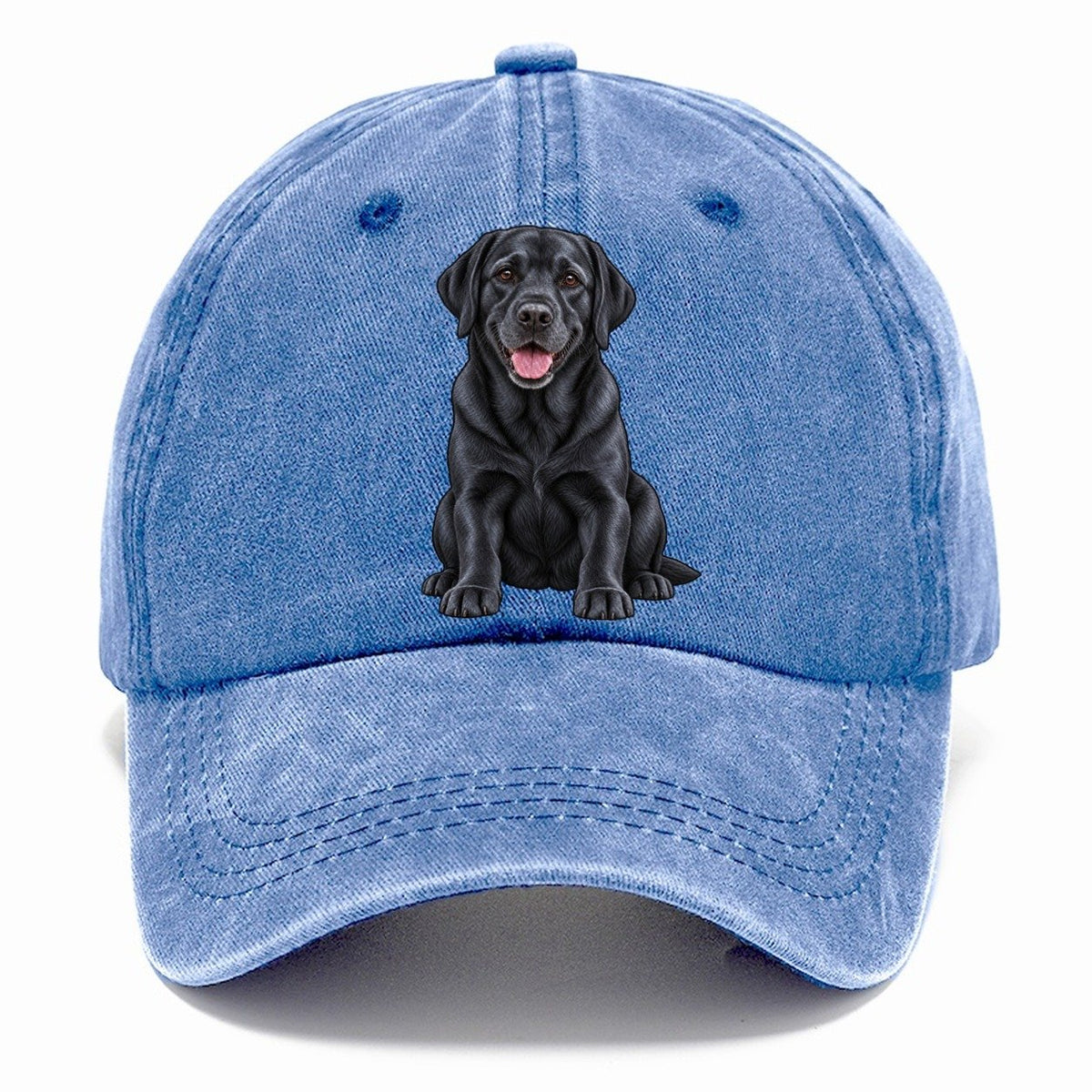 Black Labrador Sitting Classic Cap – Summer Sky