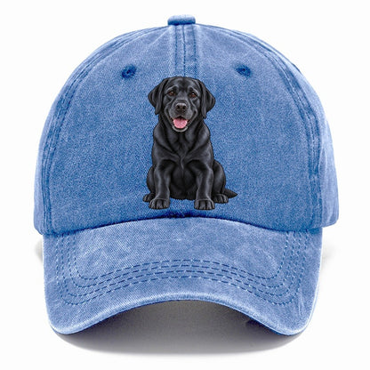 Black Labrador Sitting Classic Cap – Summer Sky
