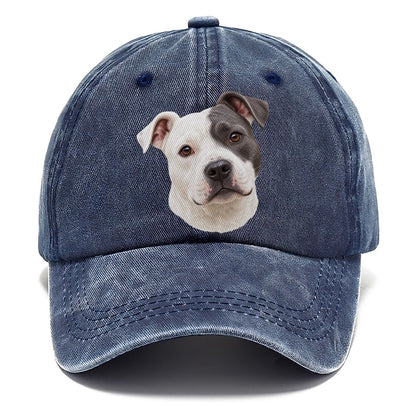 Staffy Curious Eye Patch Pastimes Companions Classic Cap – Twilight Navy