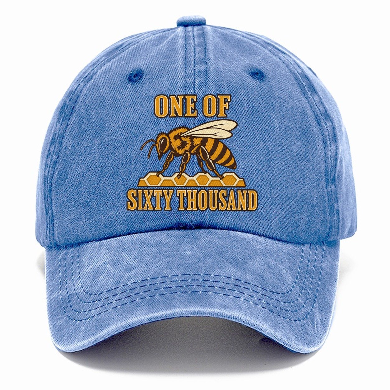 Sixty Thousand Sisters Beekeeping Classic Cap – Summer Sky