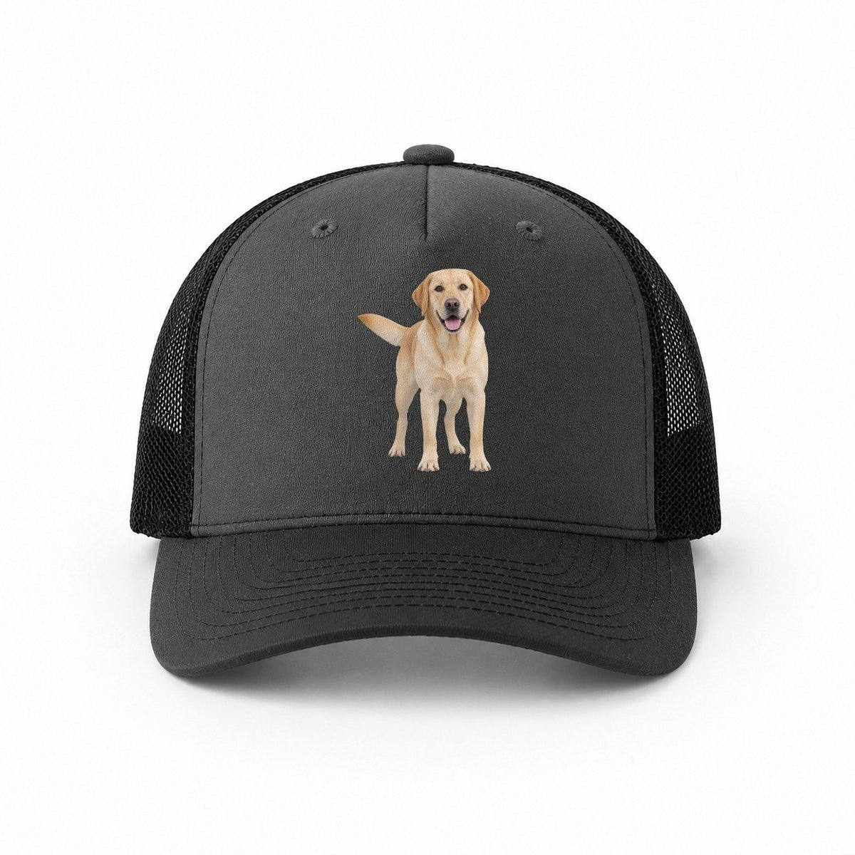 Dark Grey-Black — front view