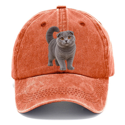 Scottish Fold Standing Three Quarter Realistic Cat Portrait Classic Cap – Terracotta Clay