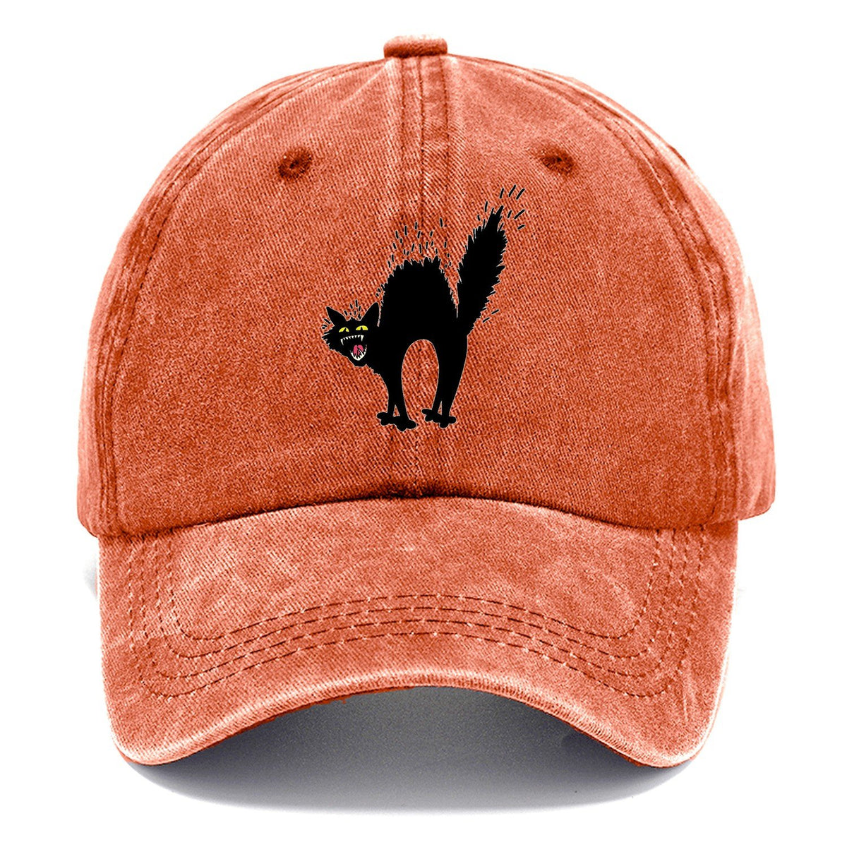 Black Cat Hiss Classic Cap – Terracotta Clay