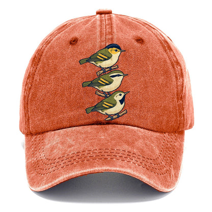 Woodland Warbler Set Birdwatching Classic Cap – Terracotta Clay