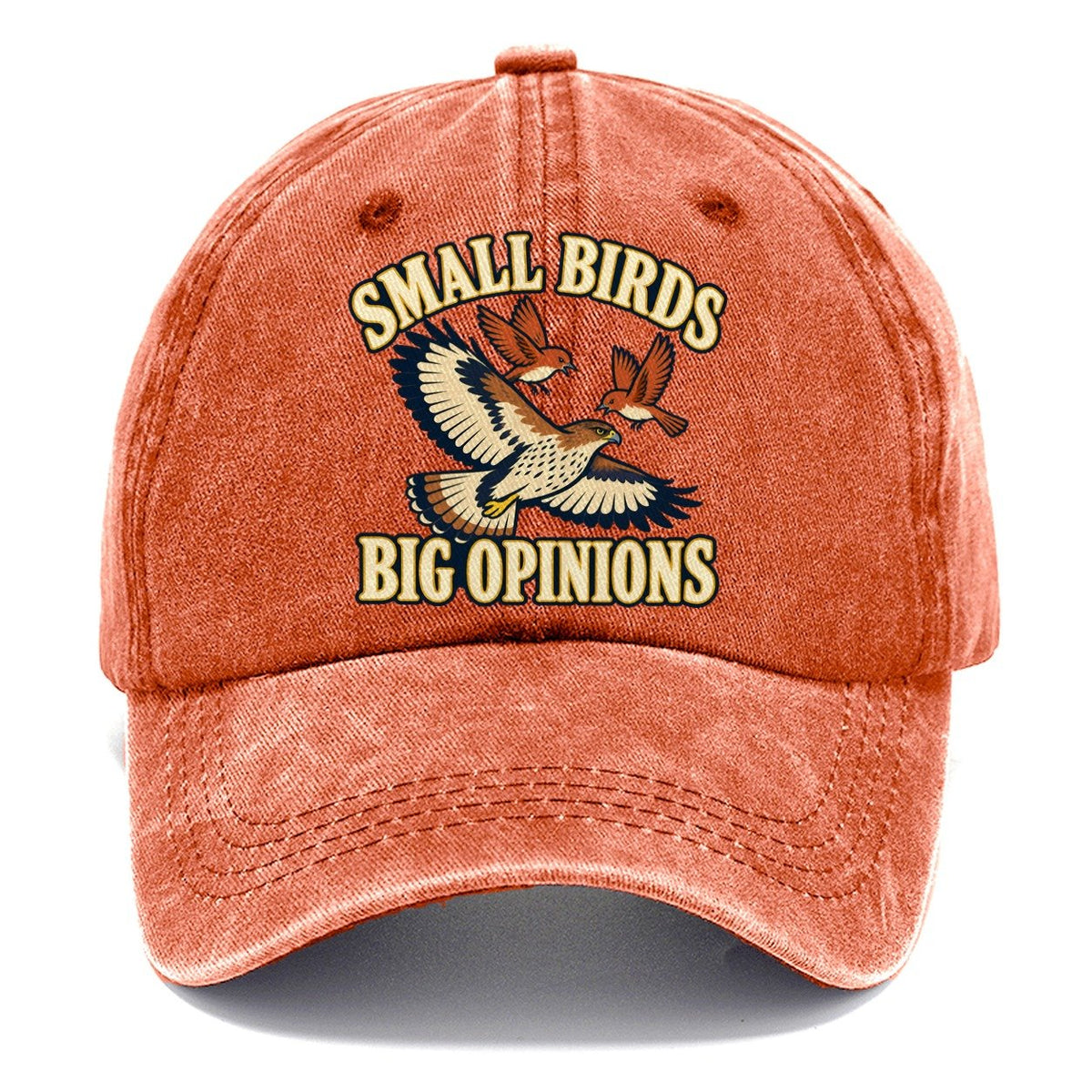 Small Birds Big Opinions Birdwatching Classic Cap – Terracotta Clay
