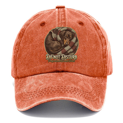 Do Not Disturb Classic Cap – Terracotta Clay
