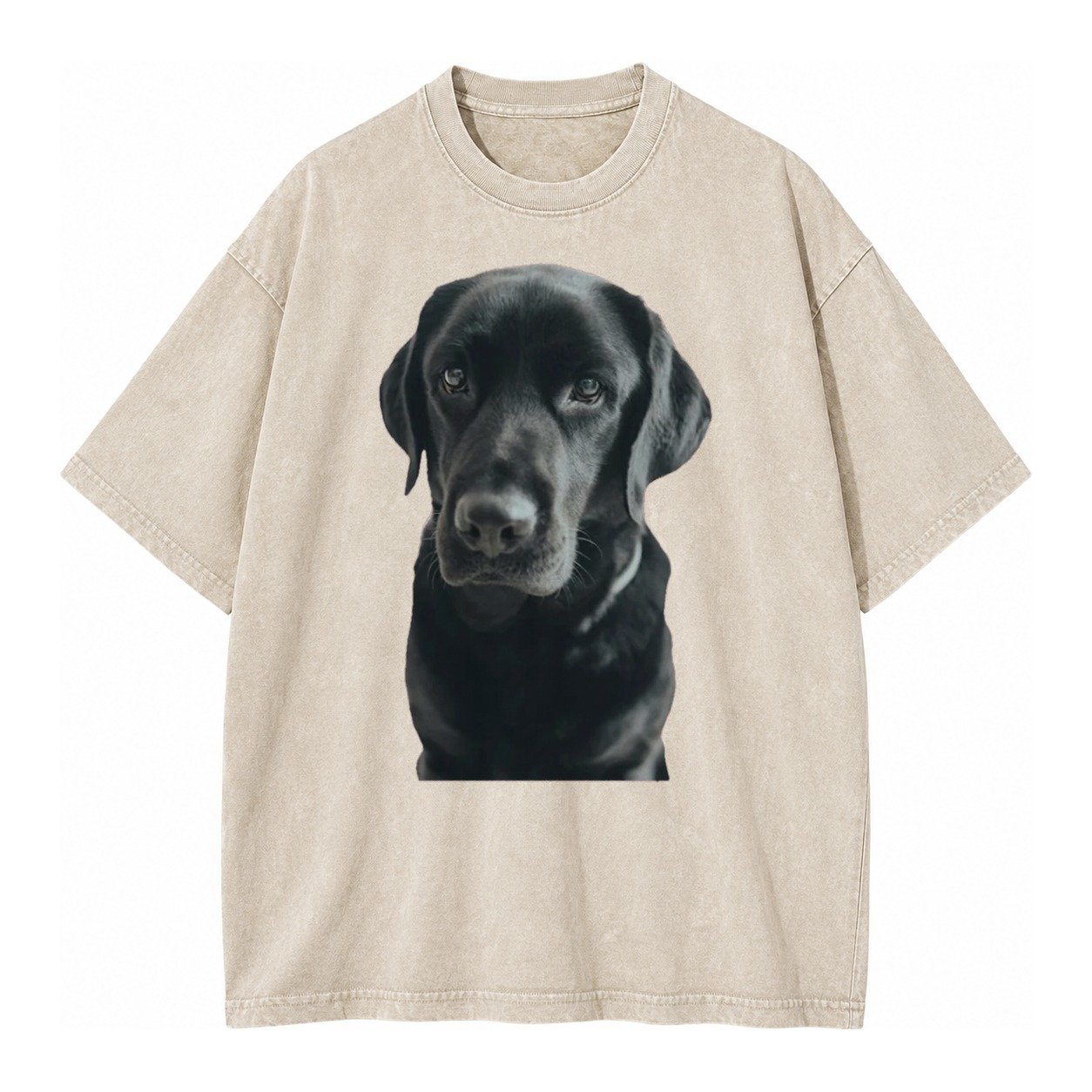 Black Labrador Vintage T-shirt – Off White