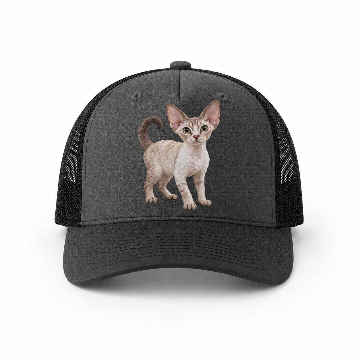 Dark Grey-Black — front view