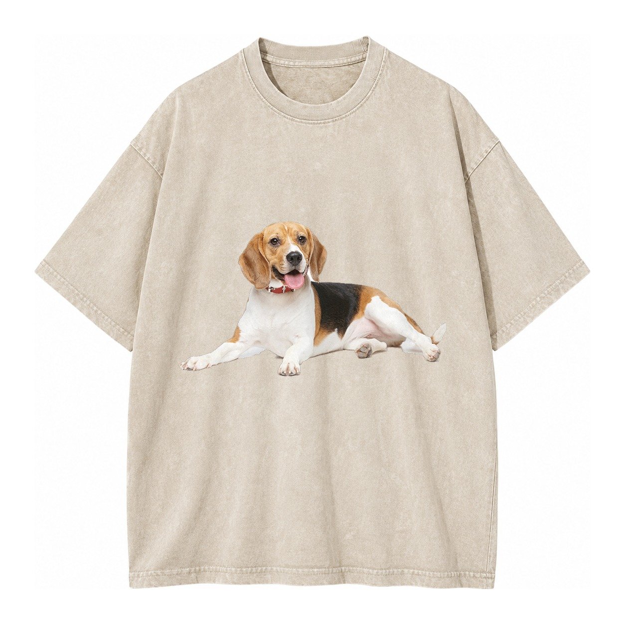 Beagle Vintage T-shirt – Off White