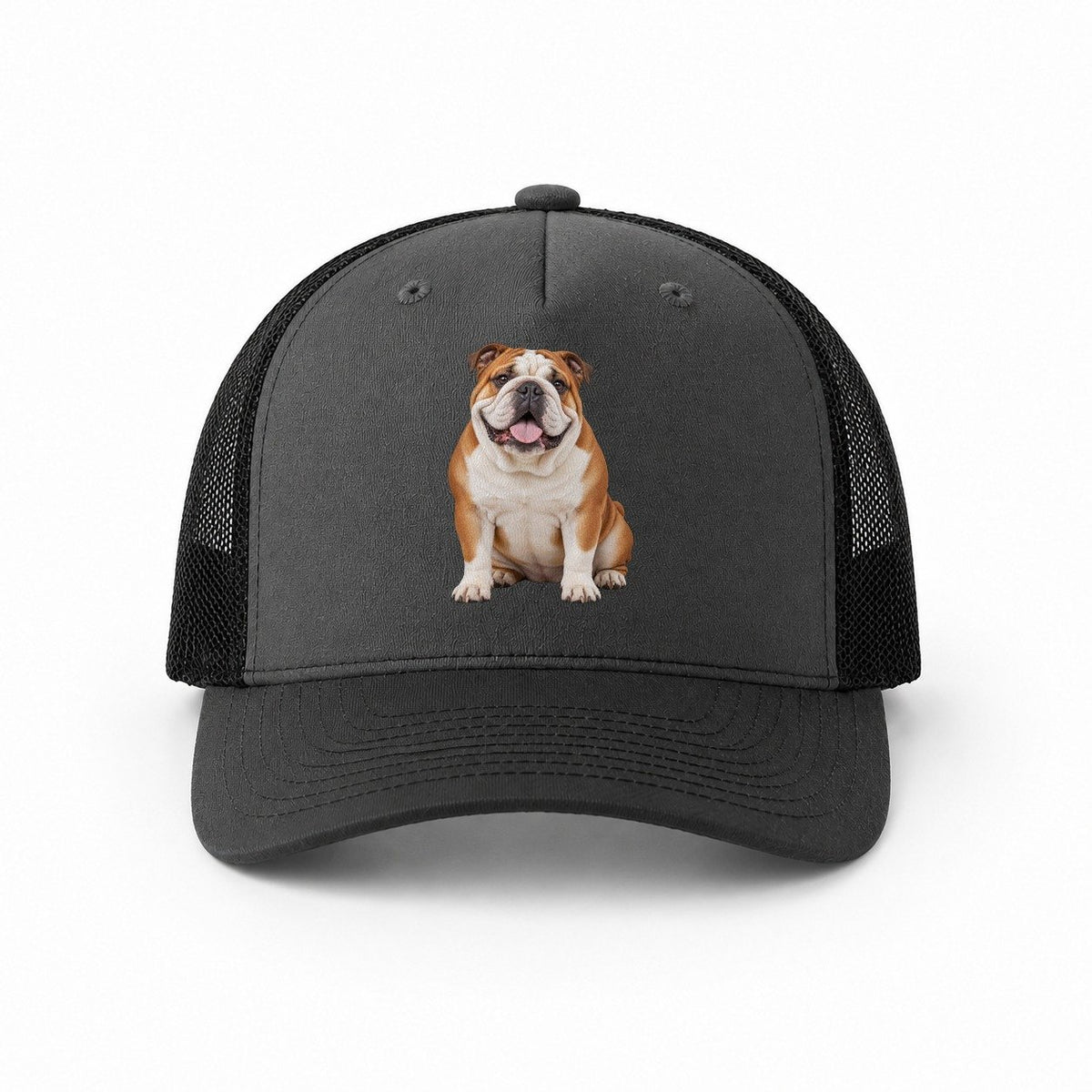 Dark Grey-Black — front view