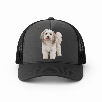 Dark Grey-Black — front view