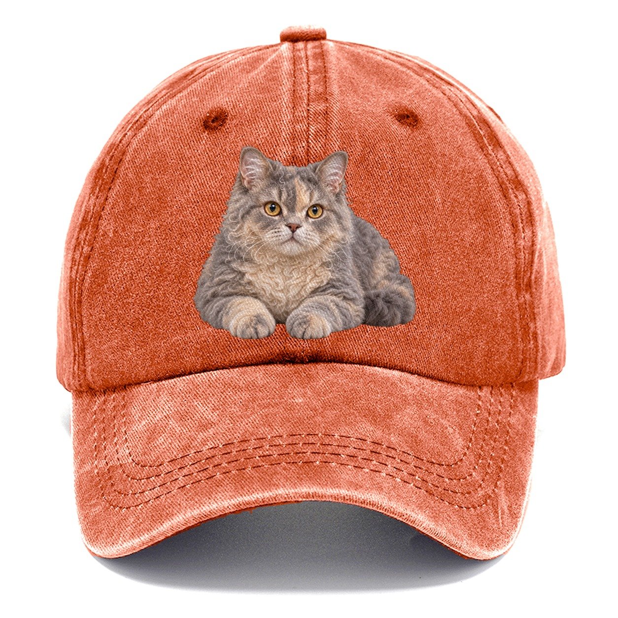 Selkirk Rex Reclining Paws Forward Realistic Cat Portrait Classic Cap – Terracotta Clay