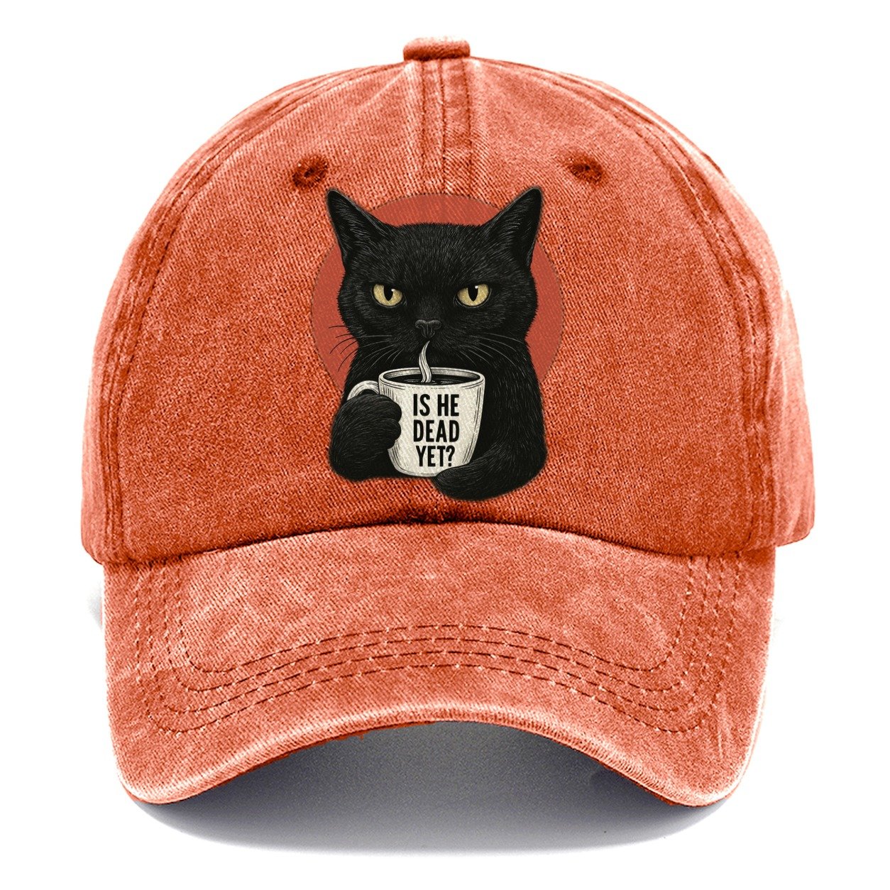 Is He Dead Yet Cat Classic Cap – Terracotta Clay
