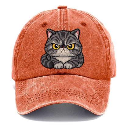 Exotic Shorthair Grumpy Sit Peeking Cats Classic Cap – Terracotta Clay