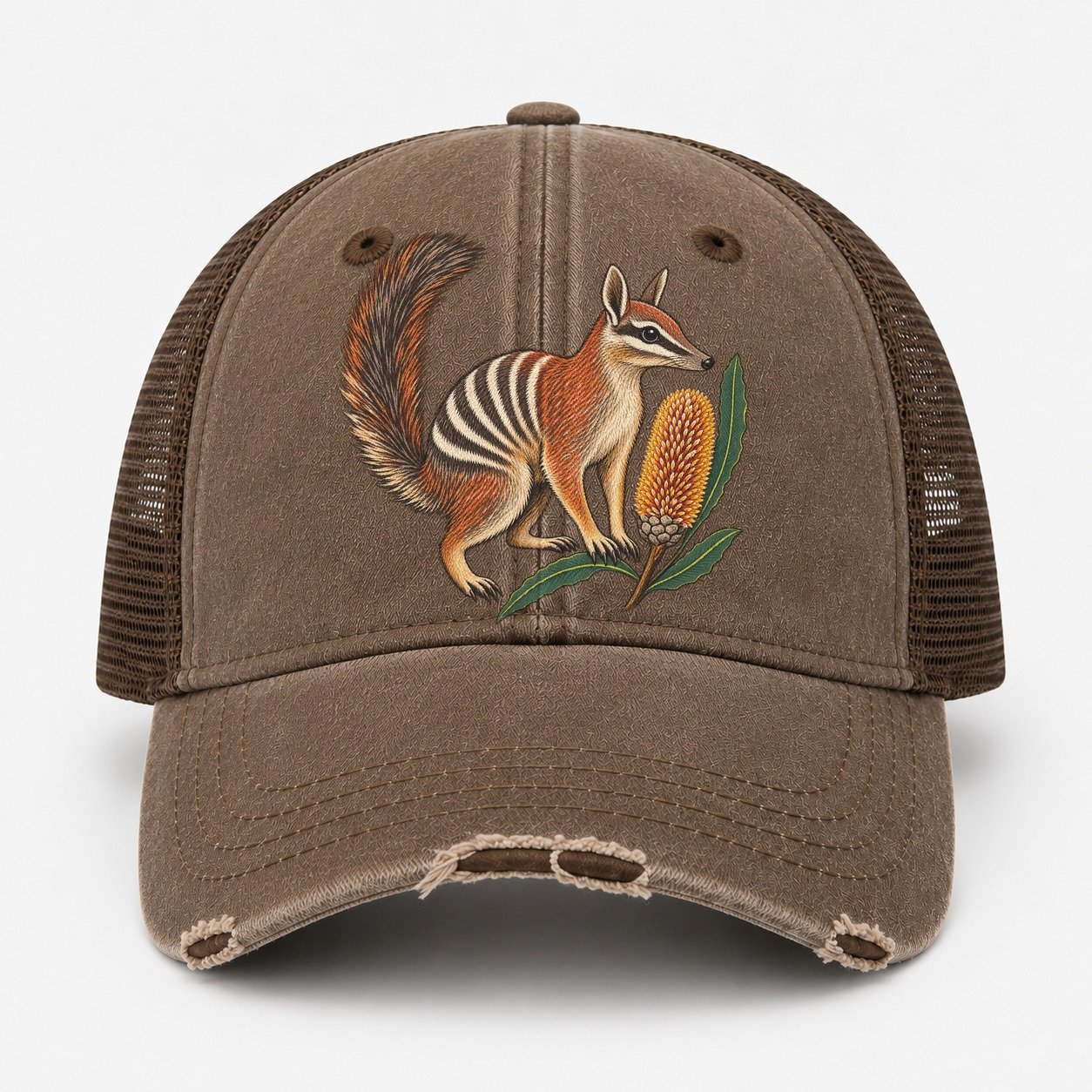 Coffee — front view