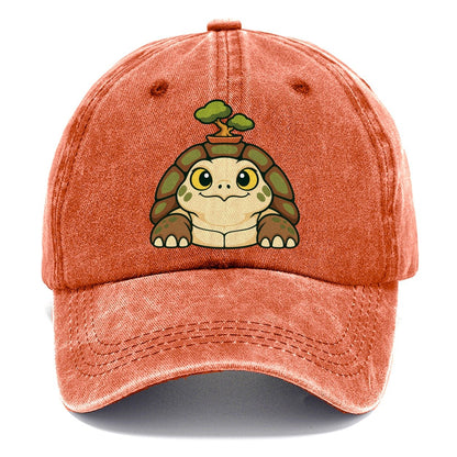 Bench Tortoise Bonsai Classic Cap – Terracotta Clay