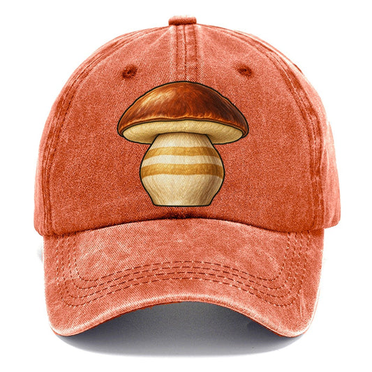 Bolete Hero Study Foraging And Mycology Classic Cap – Terracotta Clay