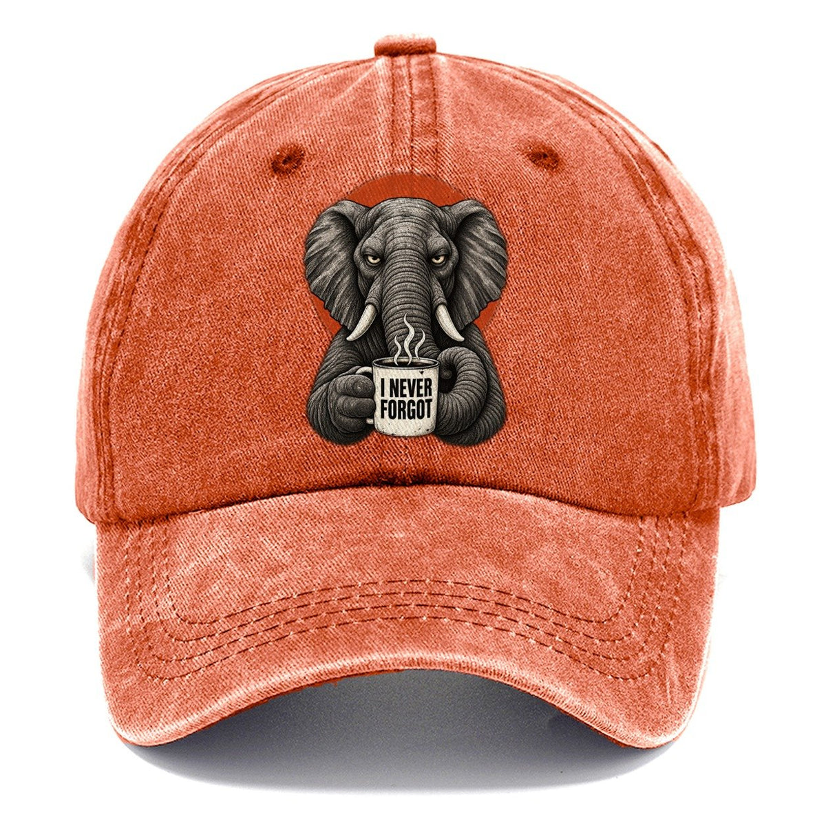 Elephant Mug Truths Classic Cap – Terracotta Clay