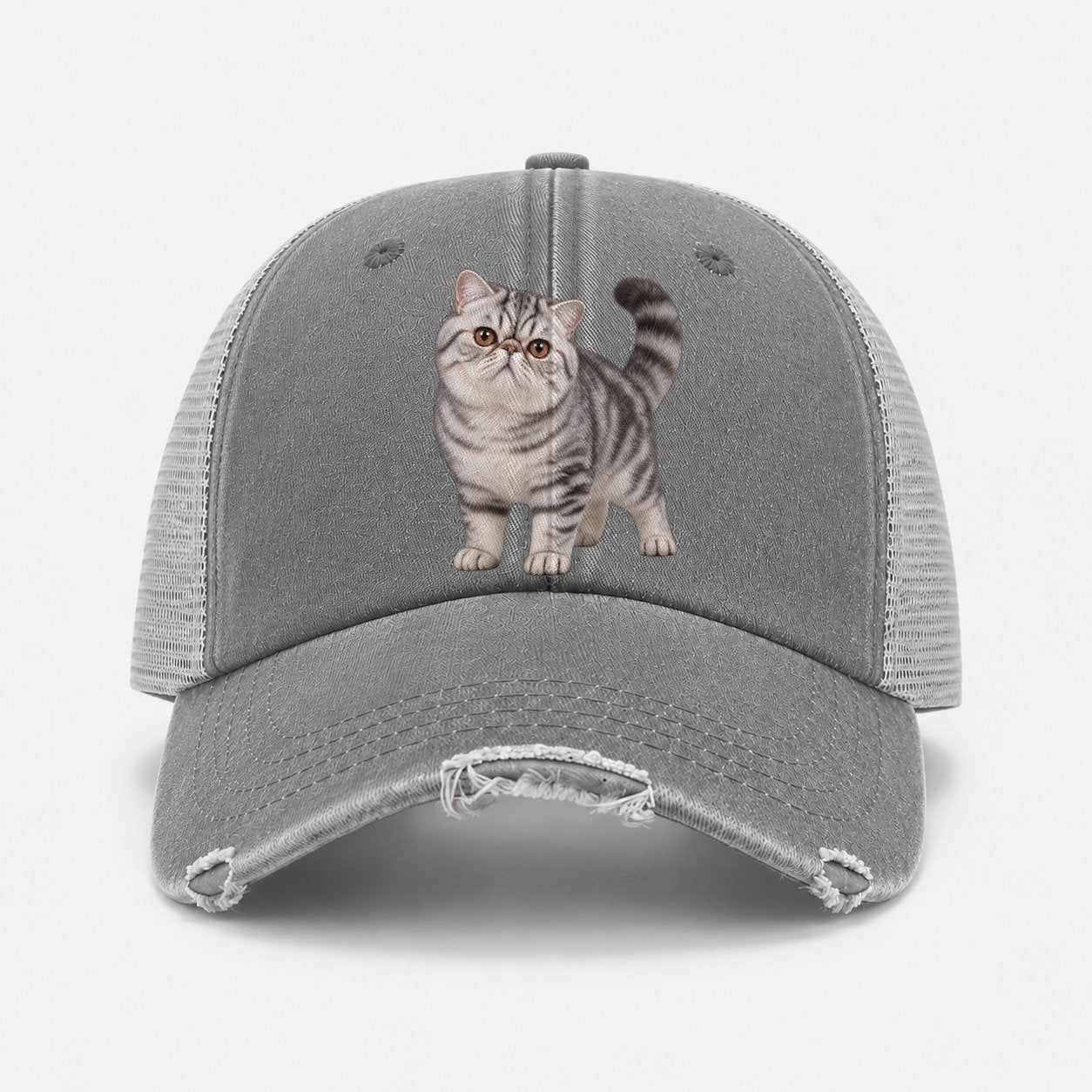 Grey — front view