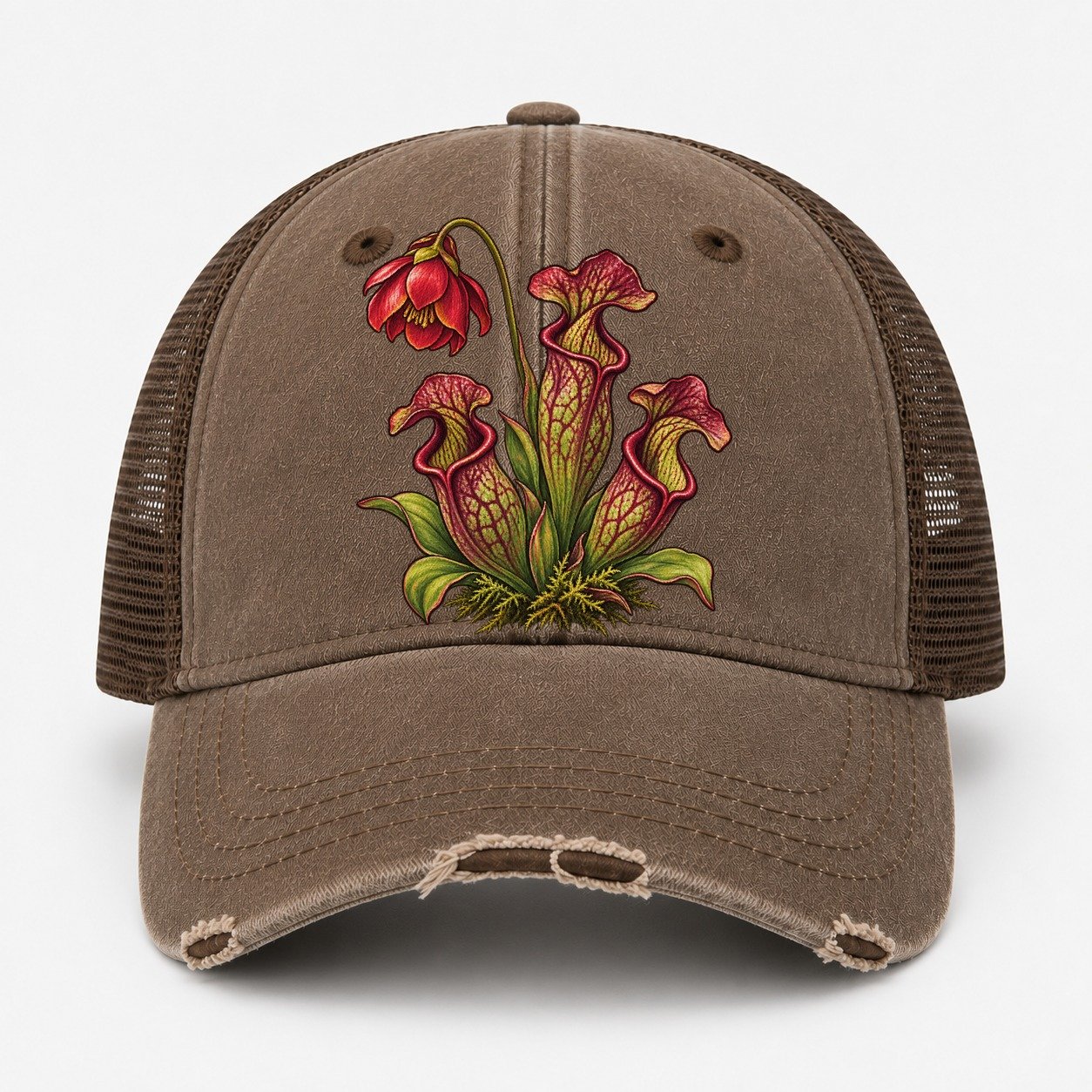 Coffee — front view