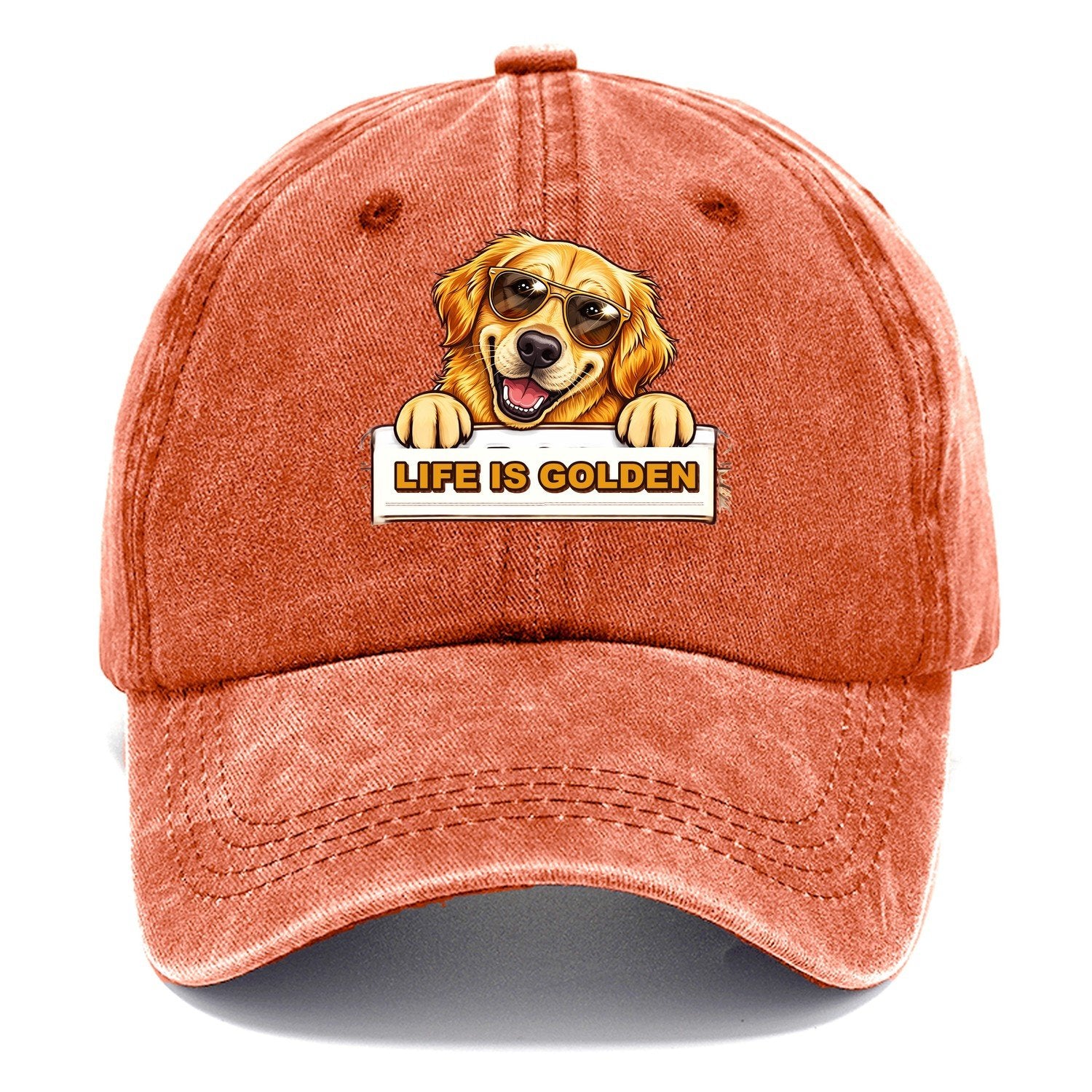 Life Is Golden Retriever Classic Cap – Terracotta Clay