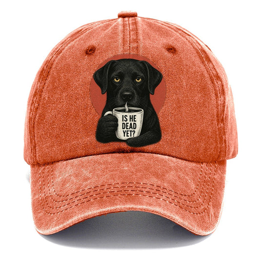 Is He Dead Yet Dog Classic Cap – Terracotta Clay