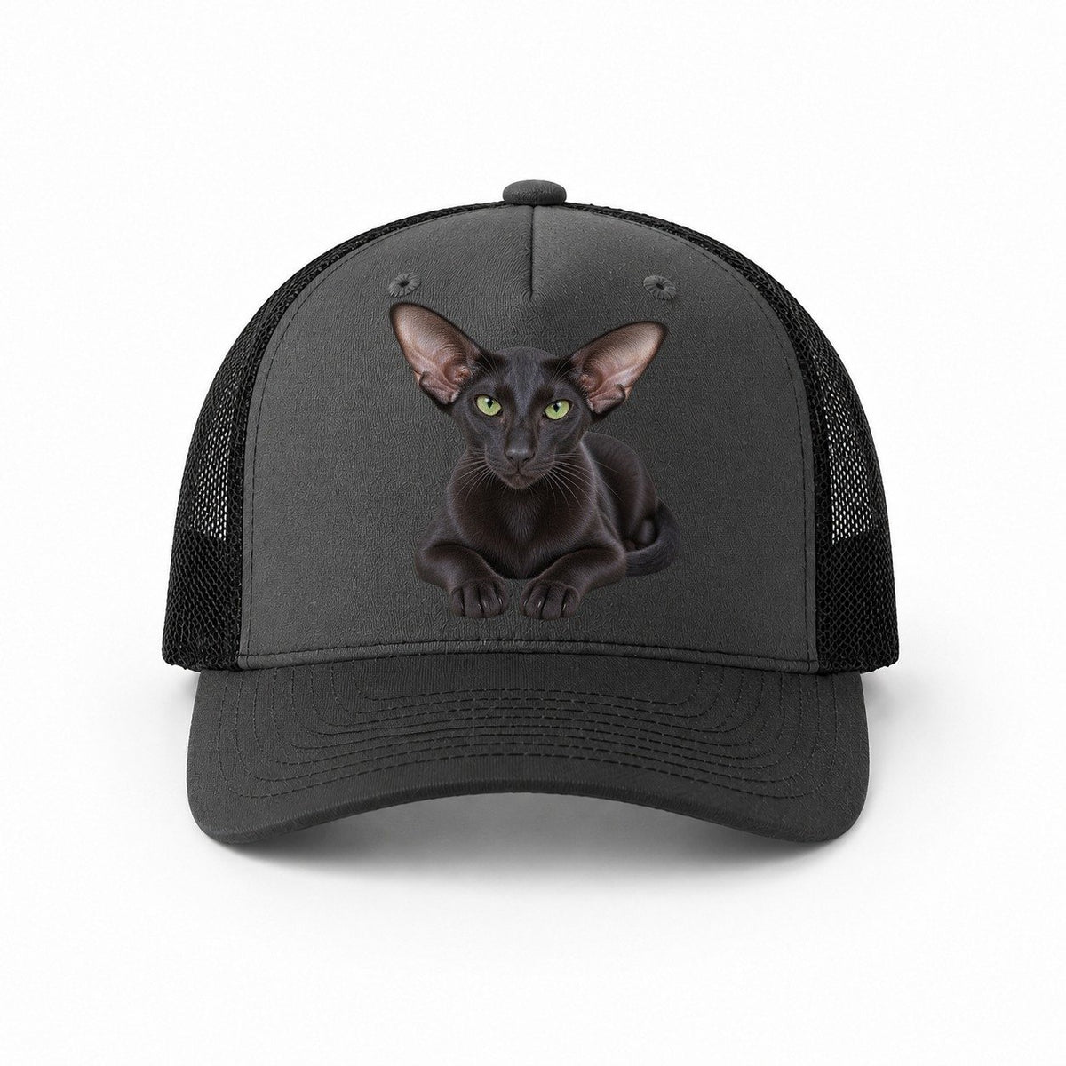 Dark Grey-Black — front view