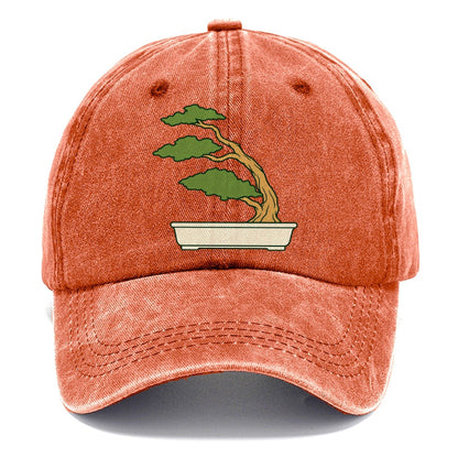 Windswept Juniper Form Bonsai Classic Cap – Terracotta Clay