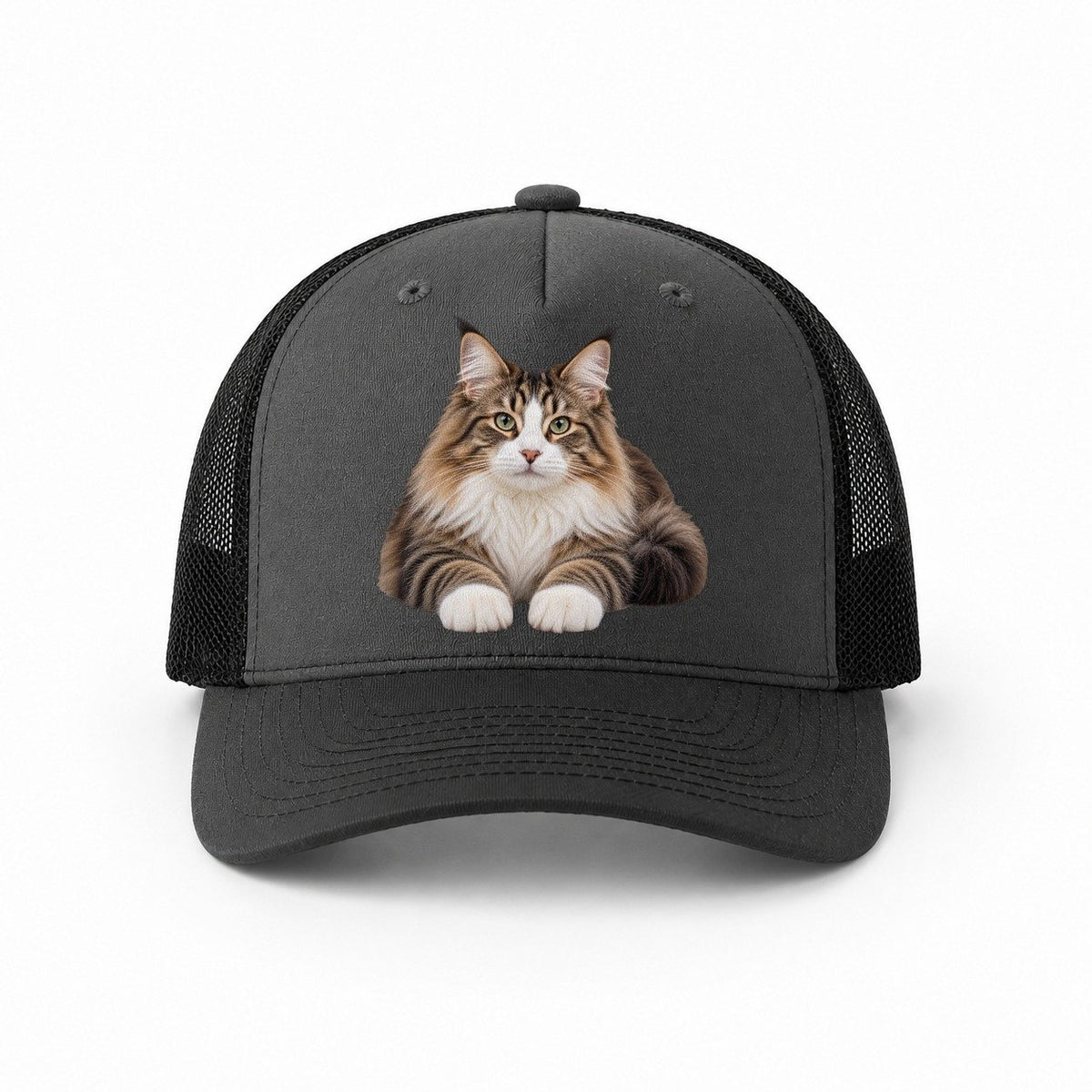 Dark Grey-Black — front view