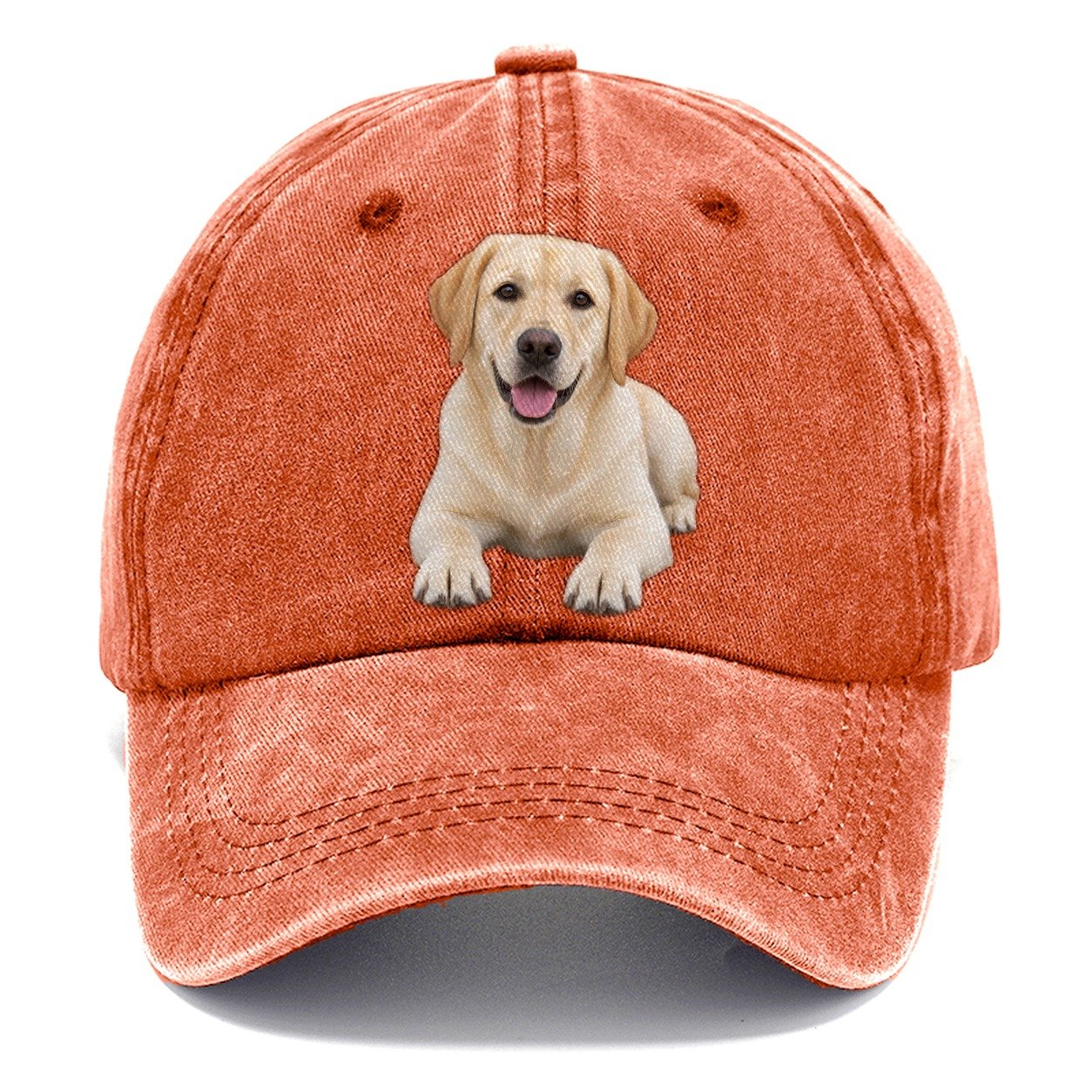 Labrador Retriever Lying Down Top Breeds Classic Cap – Terracotta Clay