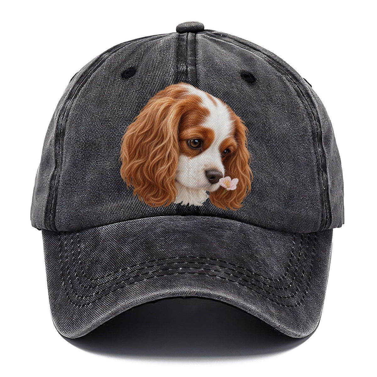 Cavalier Petal Greeting Pastimes Companions Classic Cap – Graphite