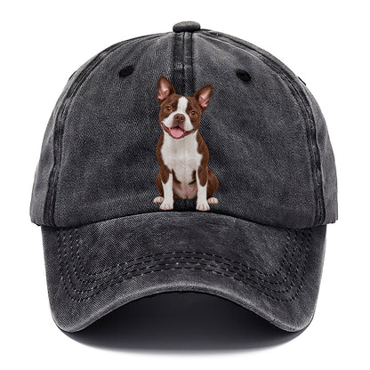 Brown Boston Terrier Classic Cap – Graphite