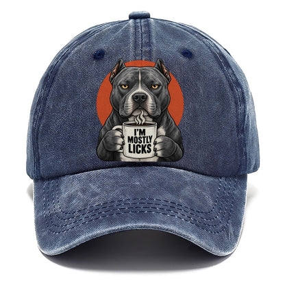American Pit Bull Terrier Mug Truths Dog Mug Truths Classic Cap – Twilight Navy