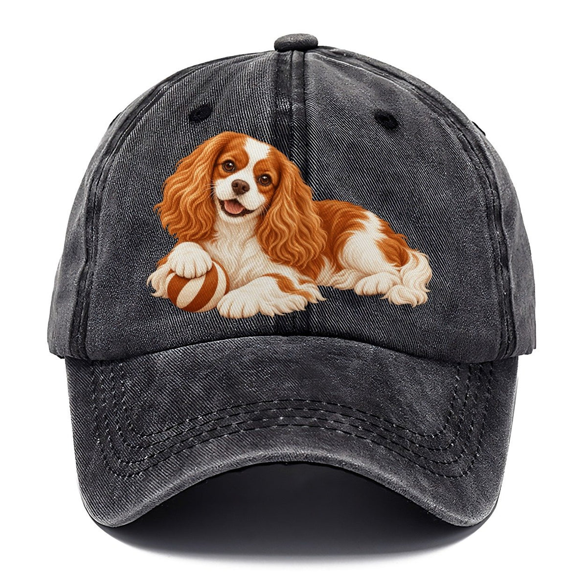 Cavalier King Charles Spaniel Resting Classic Cap – Graphite