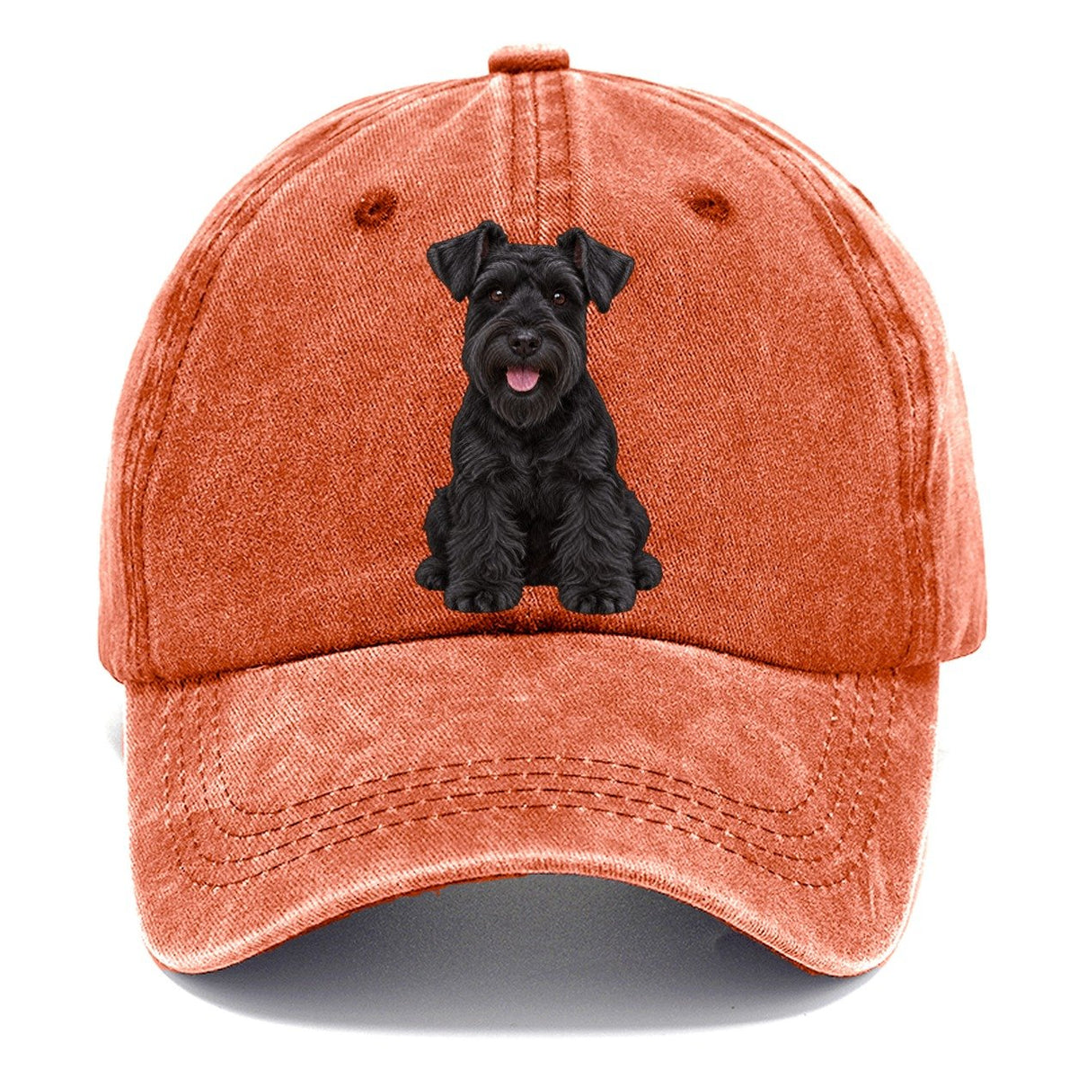 Black Miniature Schnauzer Classic Cap – Terracotta Clay