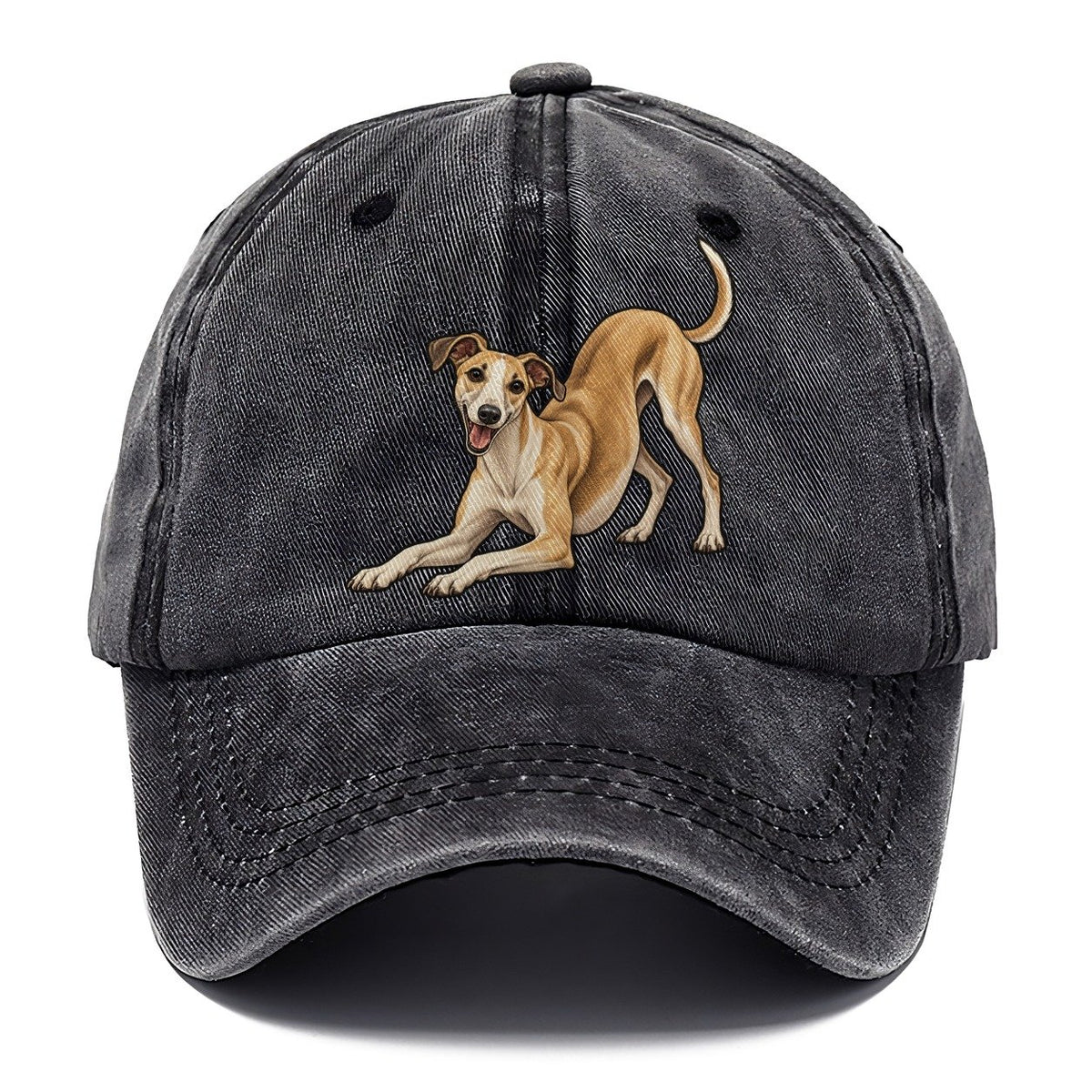 Whippet Play Bow Fan Favorites Classic Cap – Graphite