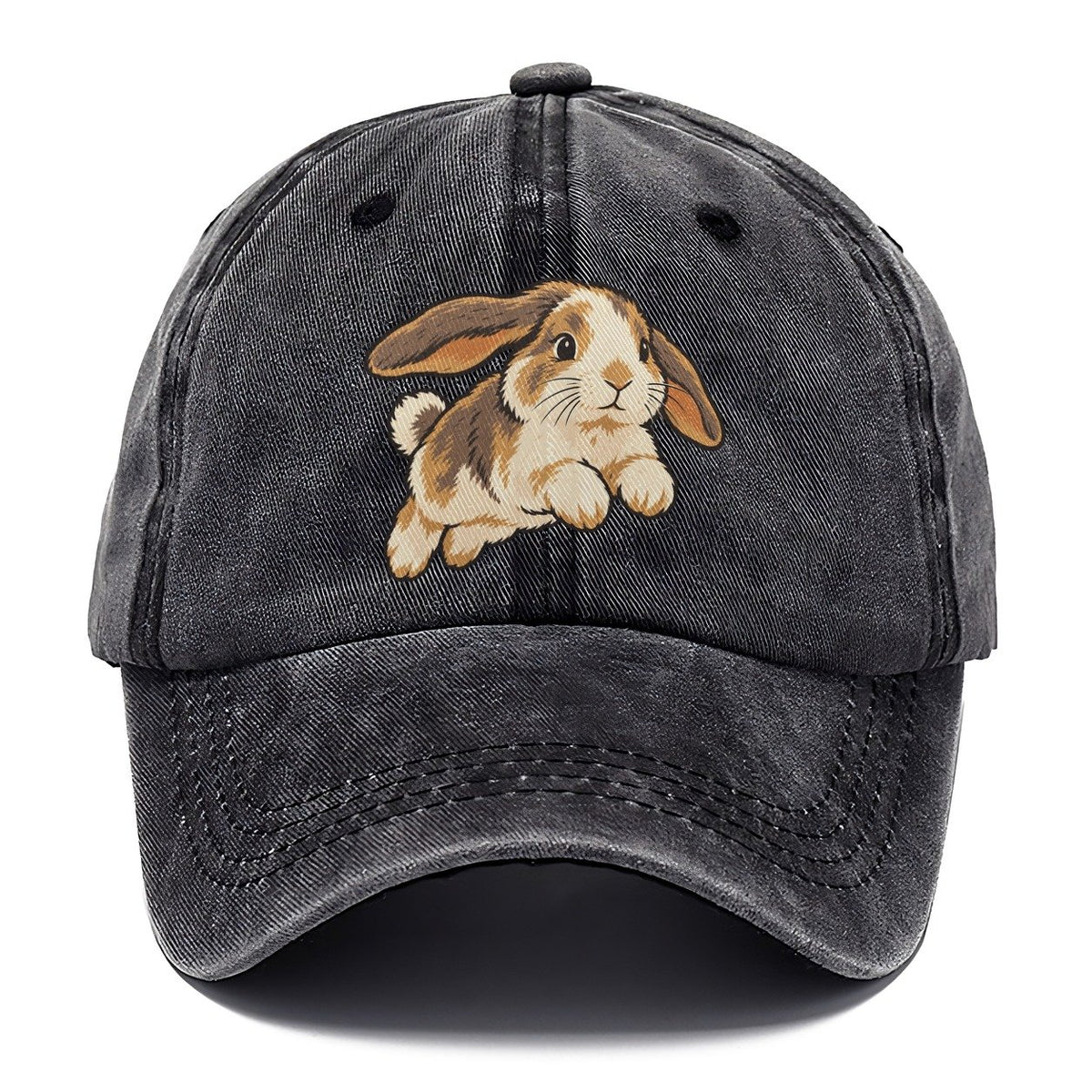 Rabbit Gentle Hop Small Pet Logos Classic Cap – Graphite