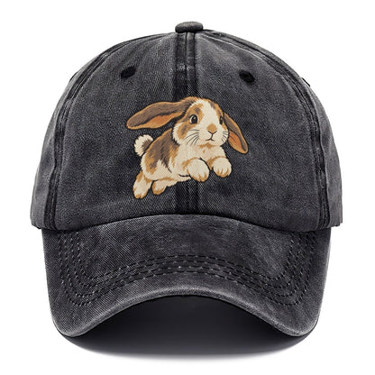 Rabbit Gentle Hop Small Pet Logos Classic Cap – Graphite