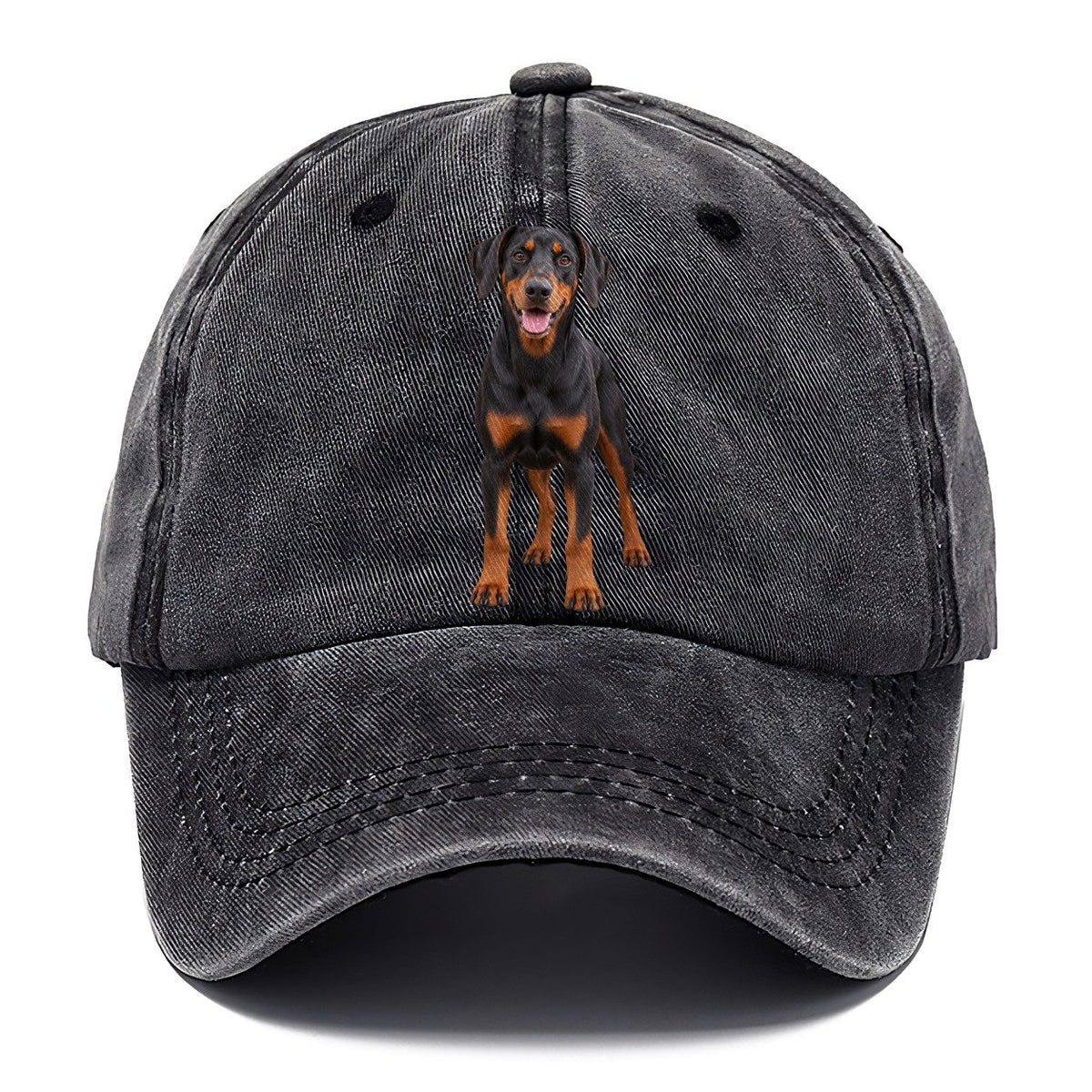 Doberman Pinscher Standing Front Facing Top Breeds Classic Cap – Graphite