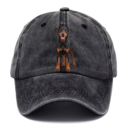 Doberman Pinscher Standing Front Facing Top Breeds Classic Cap – Graphite