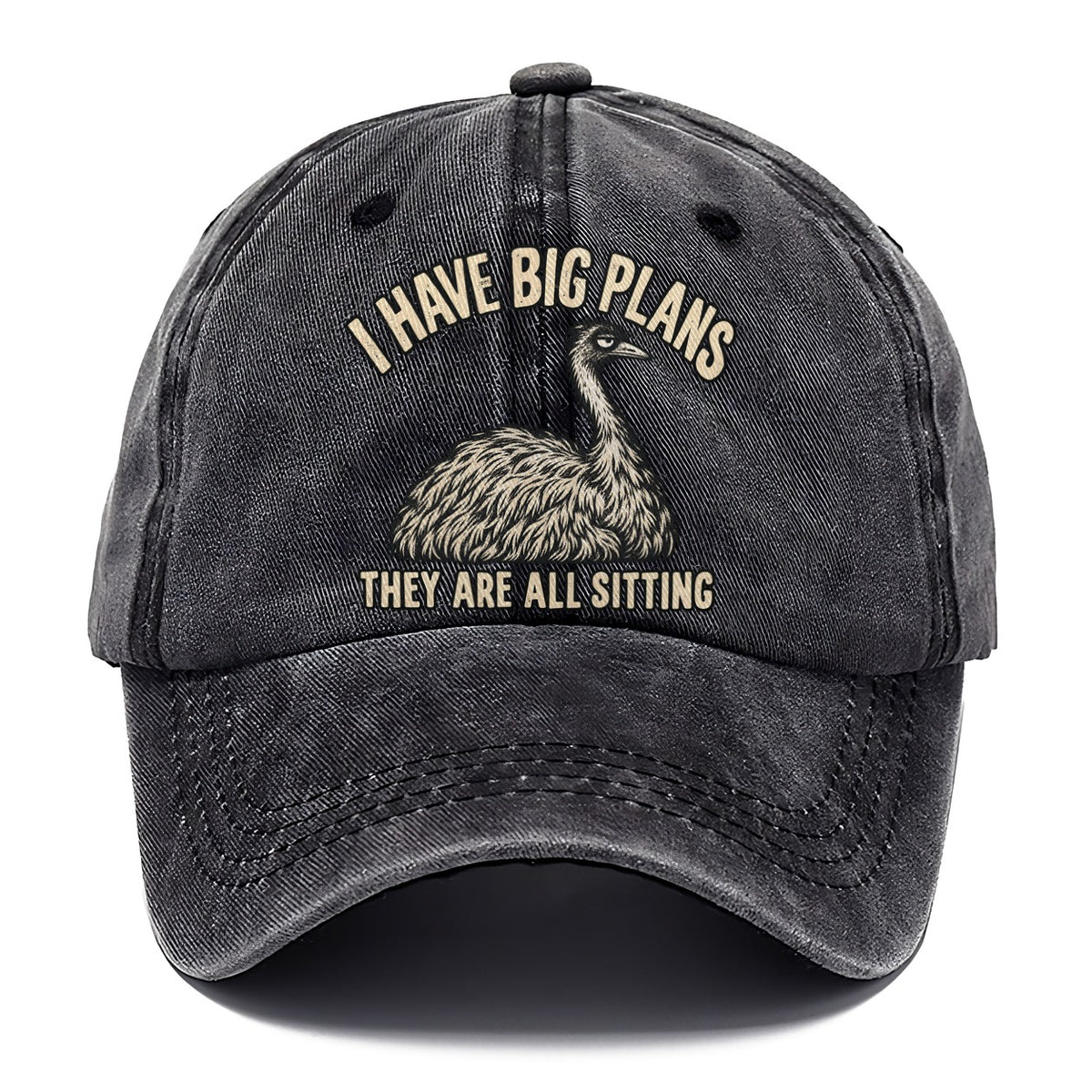 Emu Big Plans No Worm Club Classic Cap – Graphite
