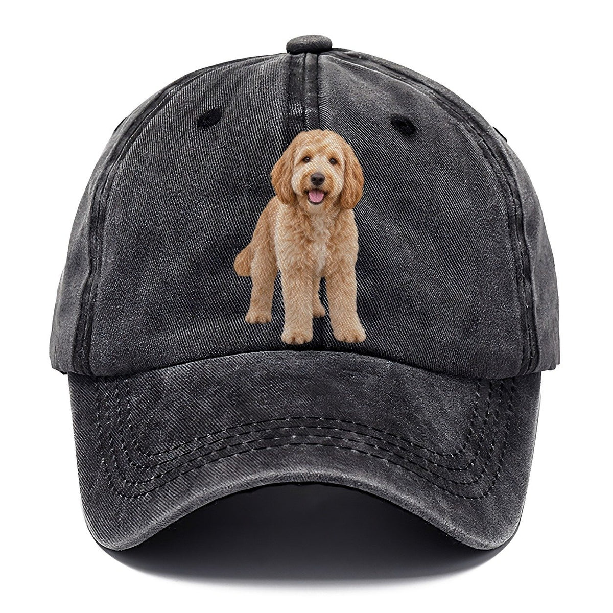 Goldendoodle Standing Top Breeds Classic Cap – Graphite
