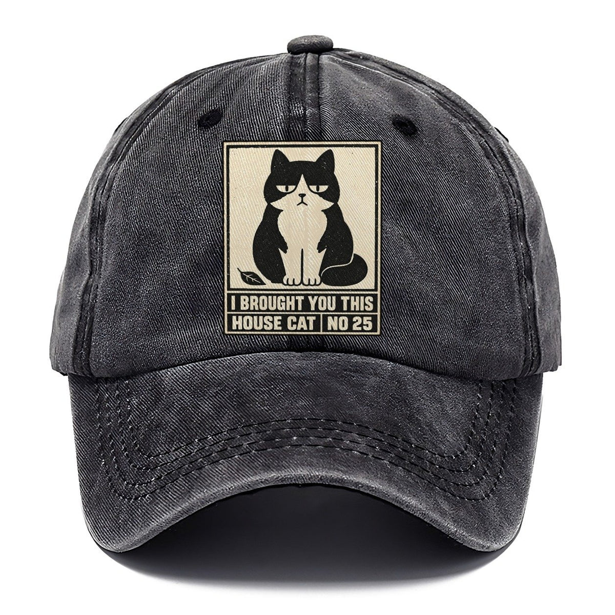 I Brought You This Neko Says No Classic Cap – Graphite