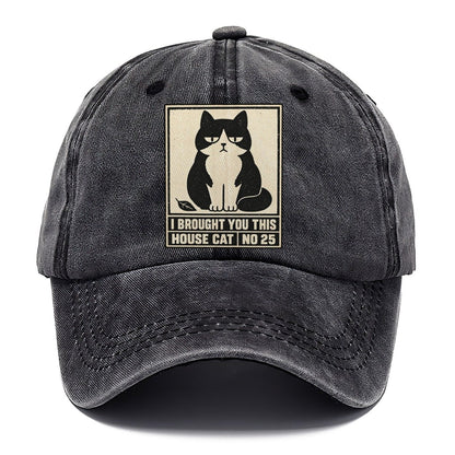 I Brought You This Neko Says No Classic Cap – Graphite