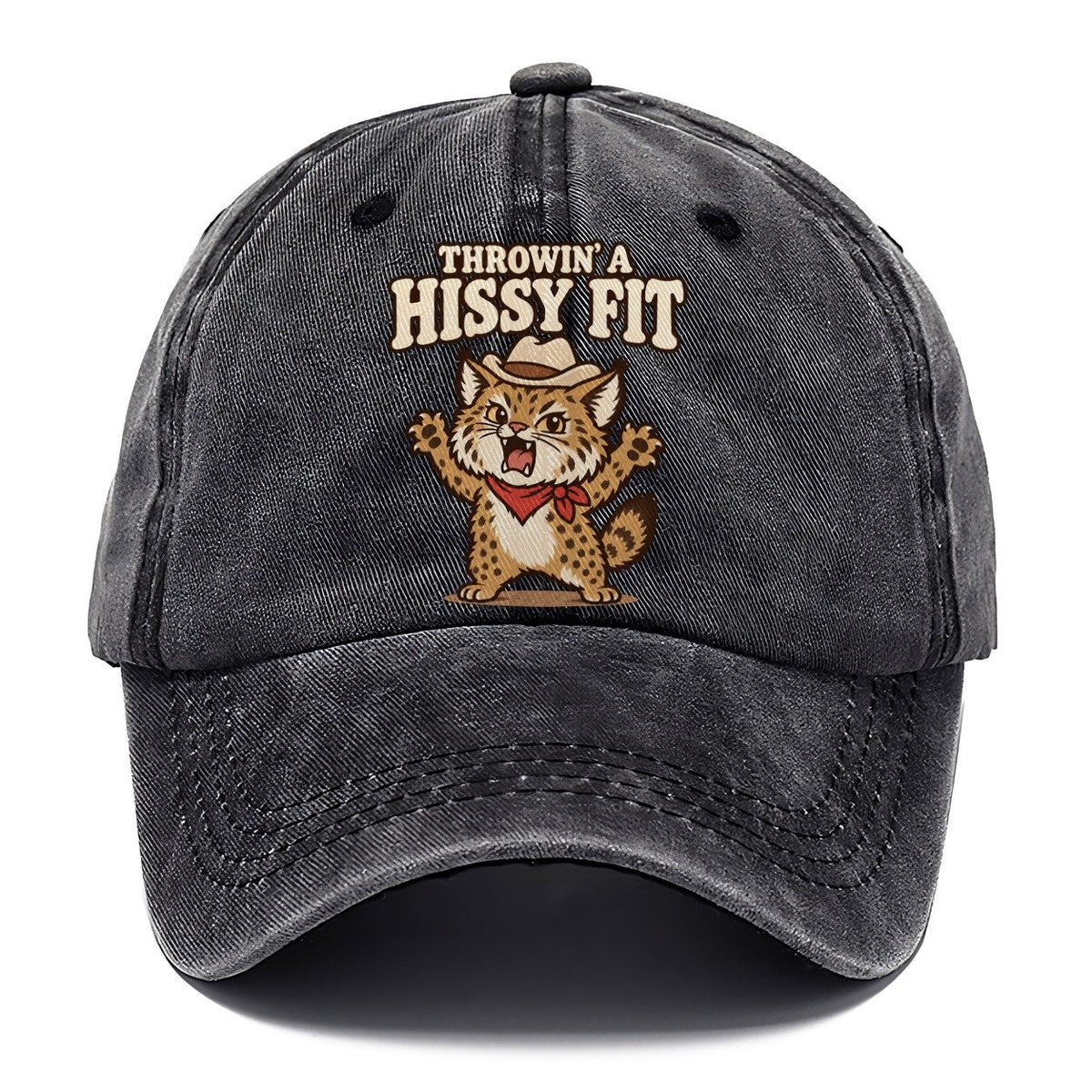 Throwin' A Hissy Fit Well I Declare Classic Cap – Graphite