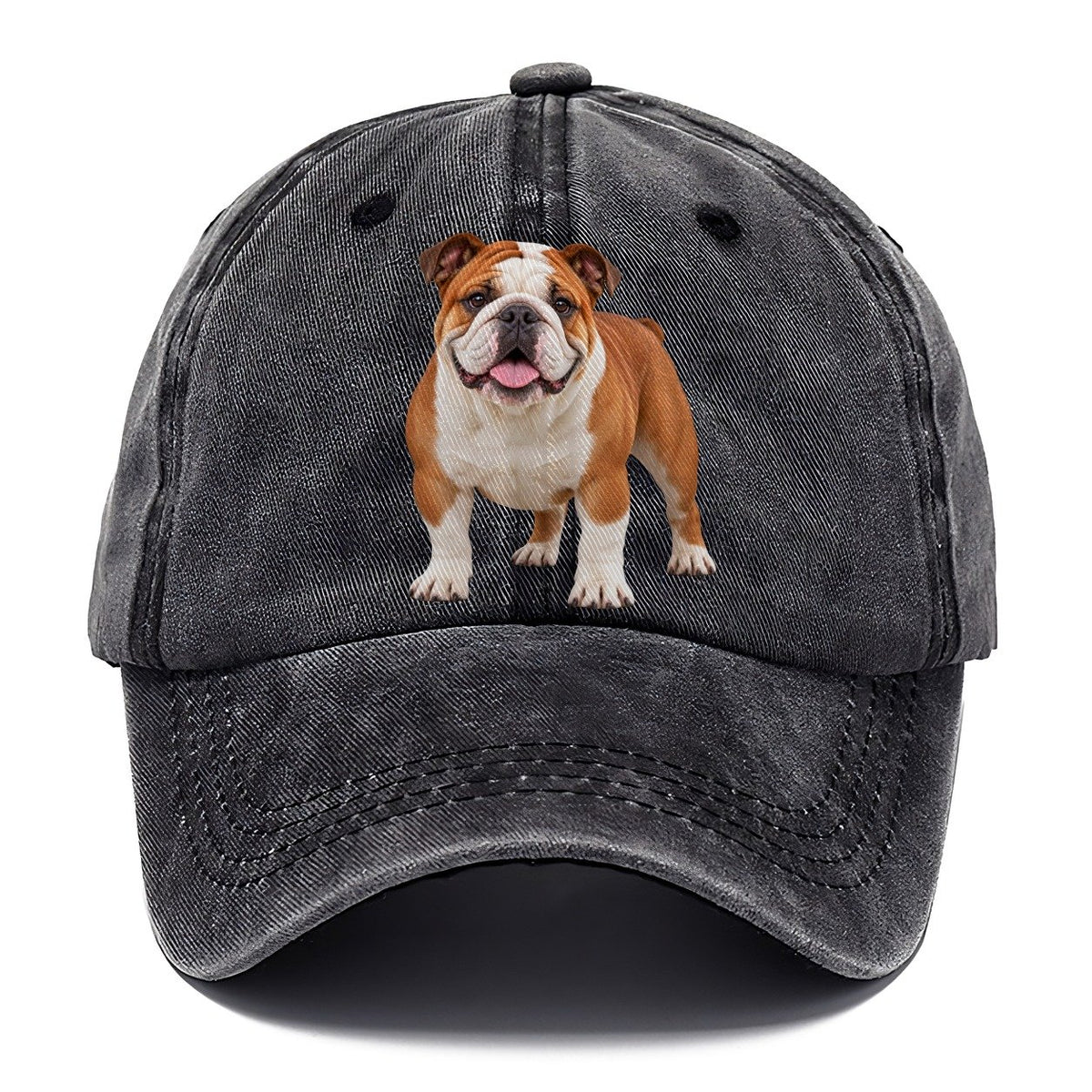 English Bulldog Standing Top Breeds Classic Cap – Graphite