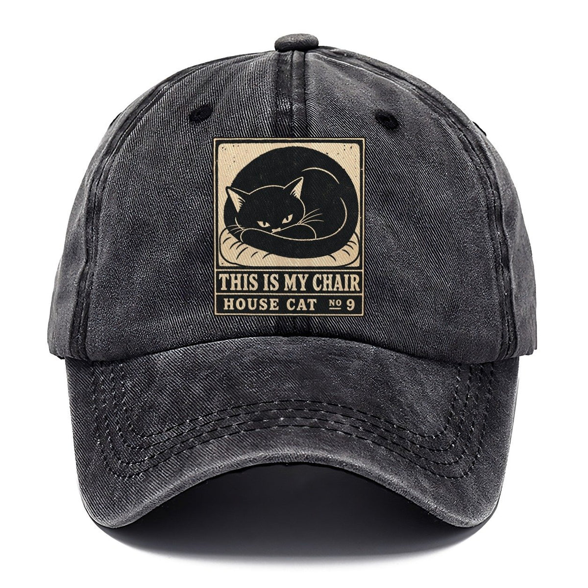 This Is My Chair Neko Says No Classic Cap – Graphite